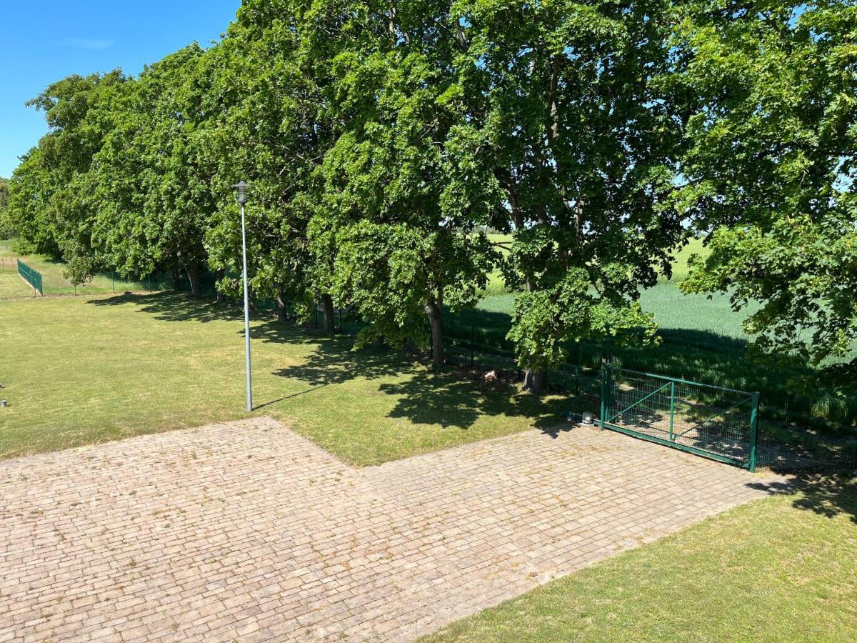 Osrodek Konferencyjno-Wypoczynkowy Hostel Chojna Buitenkant foto