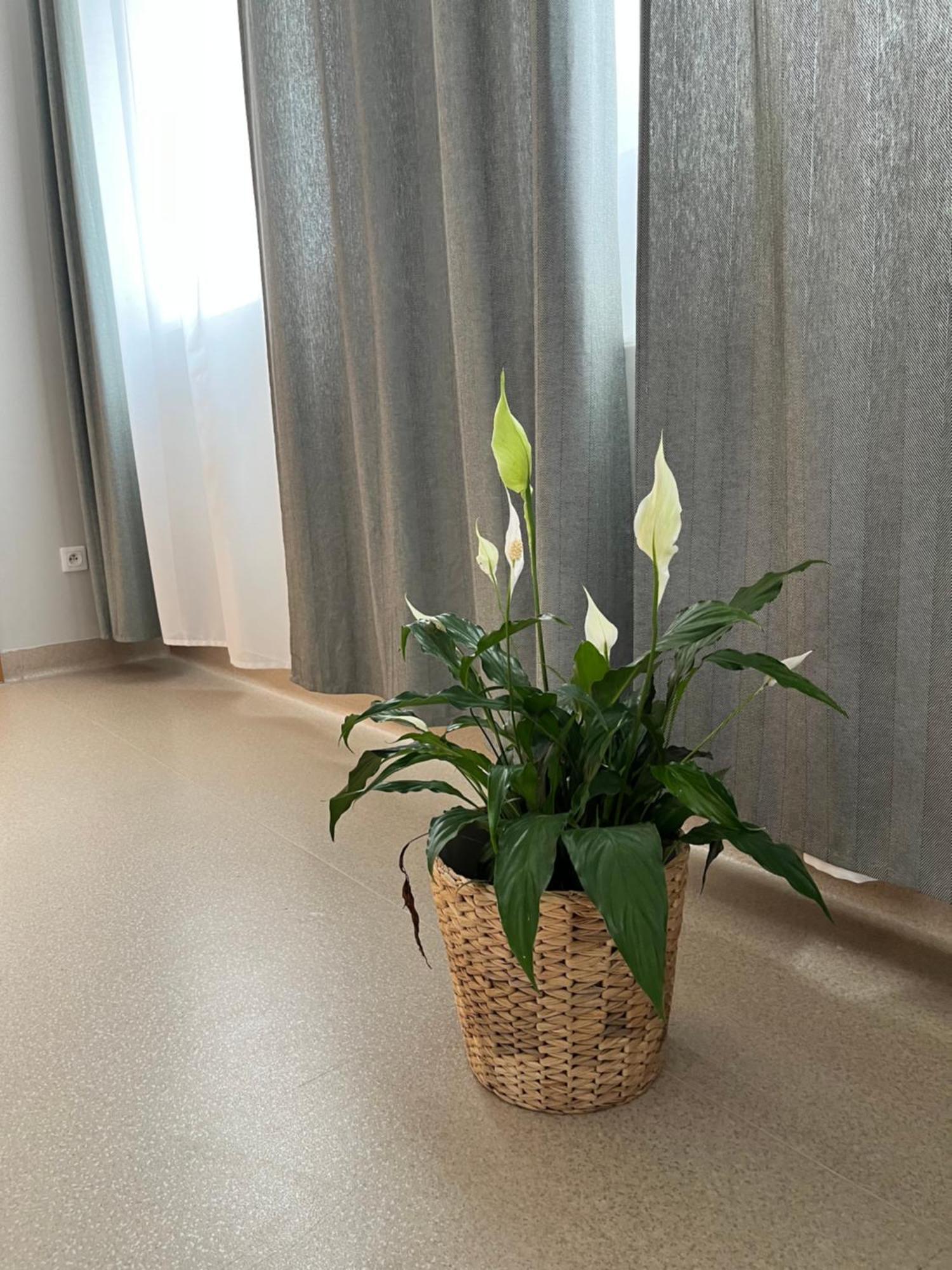 Osrodek Konferencyjno-Wypoczynkowy Hostel Chojna Buitenkant foto