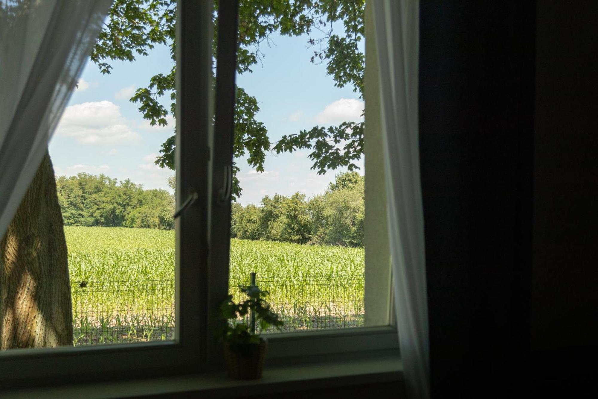 Osrodek Konferencyjno-Wypoczynkowy Hostel Chojna Buitenkant foto